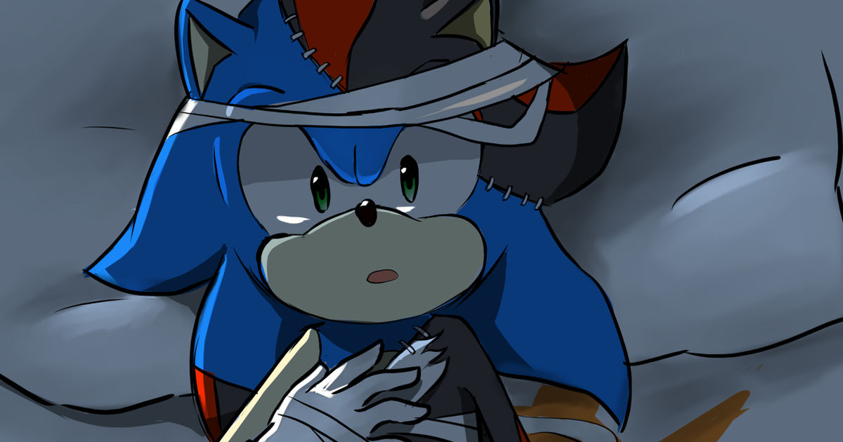 sonicthehedgehog, sonic the hedgehog, sonadow / protection - pixiv