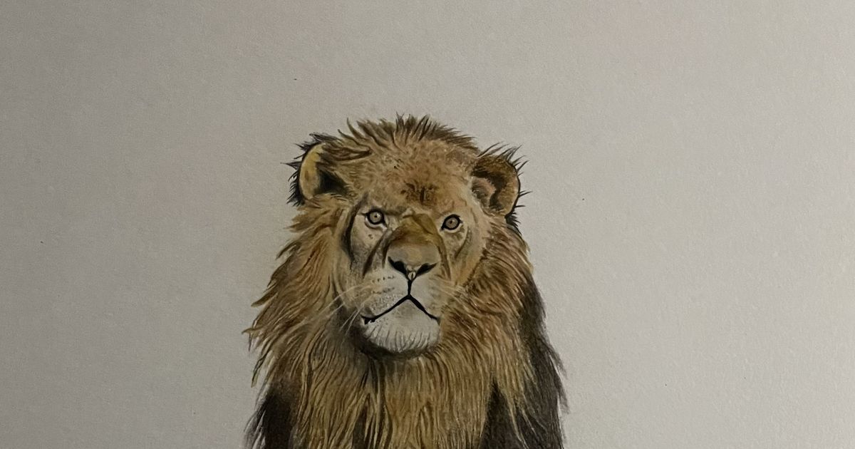 ライオン 肉食 百獣の王 ライオン こうじのイラスト Pixiv