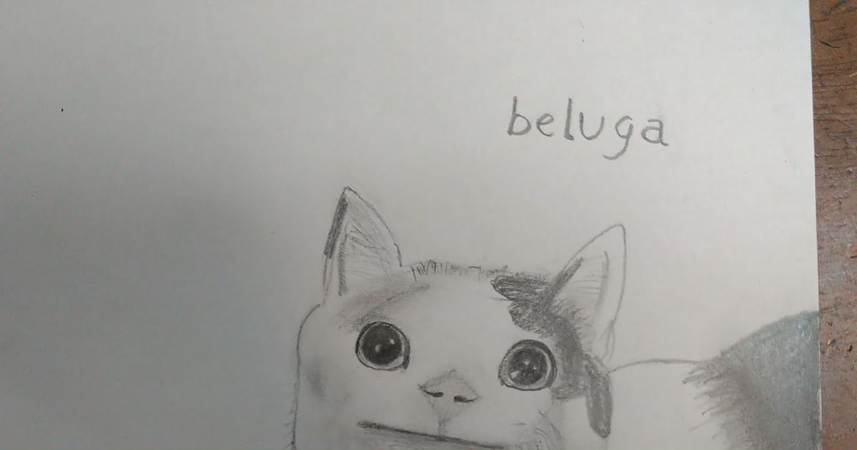 Beluga The Cat. : r/drawing