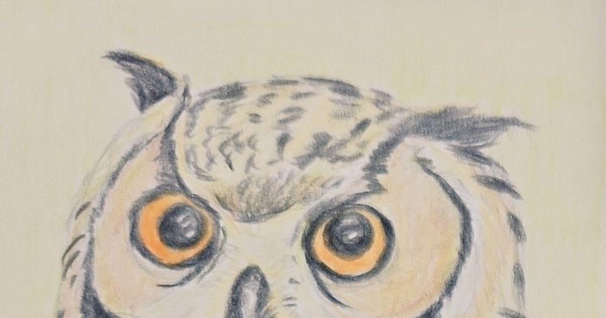 フクロウ 『フクロウ』イラスト。色鉛筆画。鳥。ドローイング。リアル