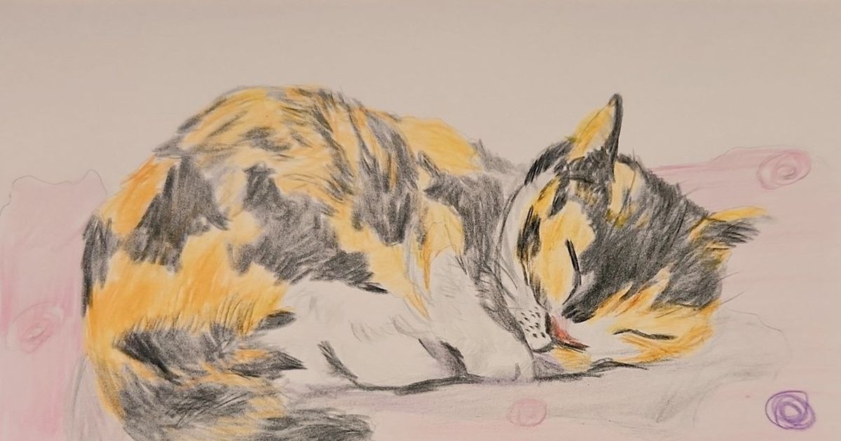 受注生産品】 色鉛筆画A4 三毛猫.11 絵画/タペストリ - kintarogroup.com