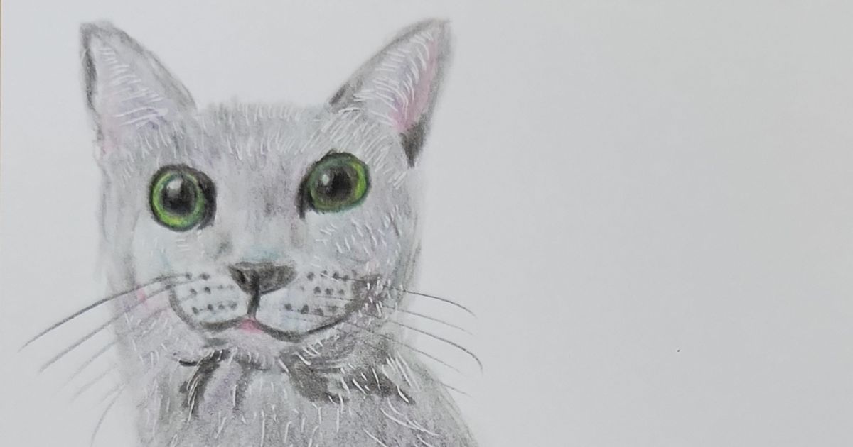 ロシアンブルー 『ロシアンブルー』色鉛筆画。イラスト。リアル。猫 