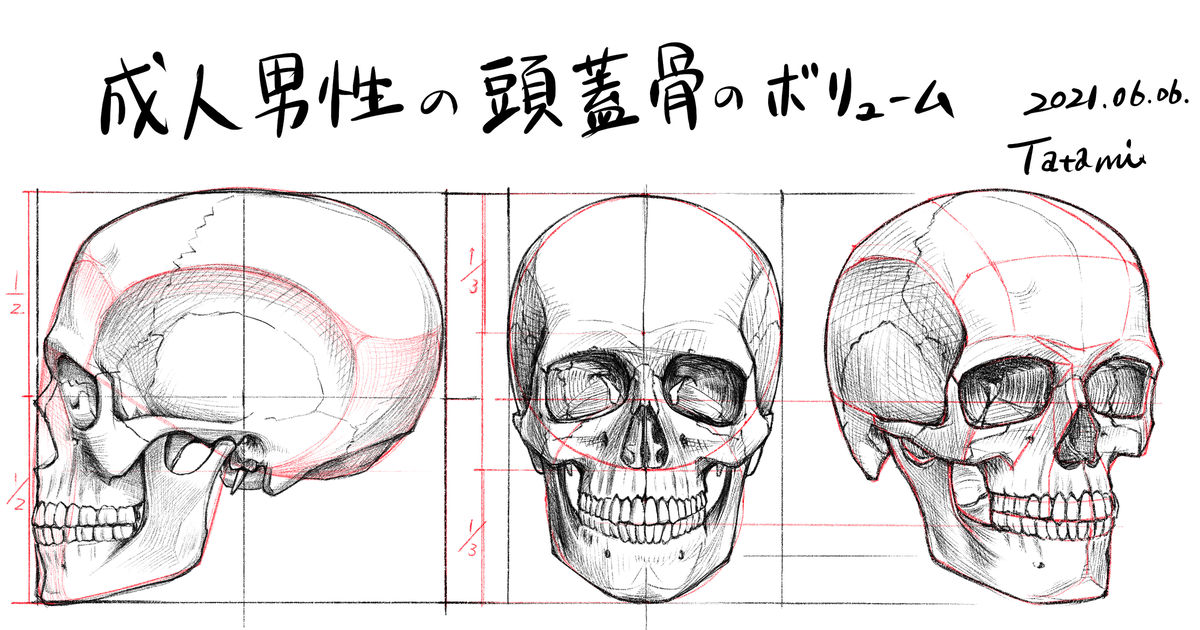 描き方 成人男性の頭蓋骨のボリューム 畳のイラスト Pixiv