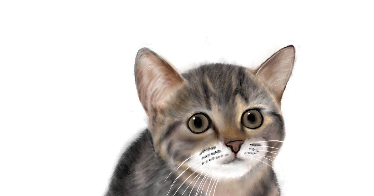 猫 YouTubeもちまる日記のもち様です。 - mineのイラスト - pixiv