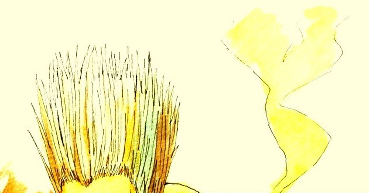 金色のガッシュ マイボーイ 玉城モジャのイラスト Pixiv