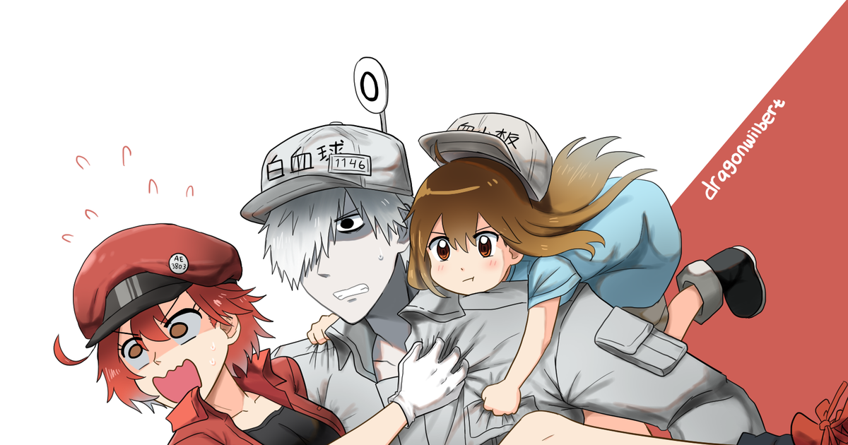 Cells at Work!, red blood cell, white blood cell / F I G H T !! - pixiv