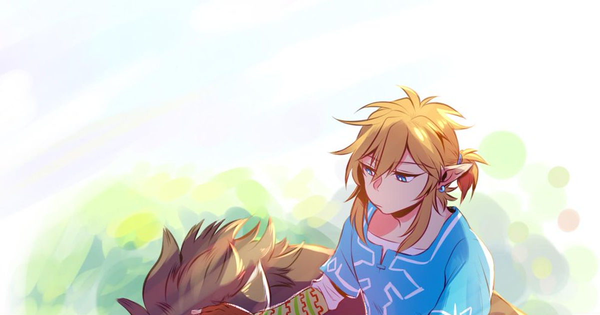 The Legend Of Zelda Link Wolf Link Taking A Good Nap~ Pixiv 3370