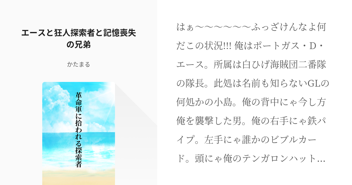 10 エースと狂人探索者と記憶喪失の兄弟 革命軍に拾われる探索者 かたまるの小説シリーズ Pixiv