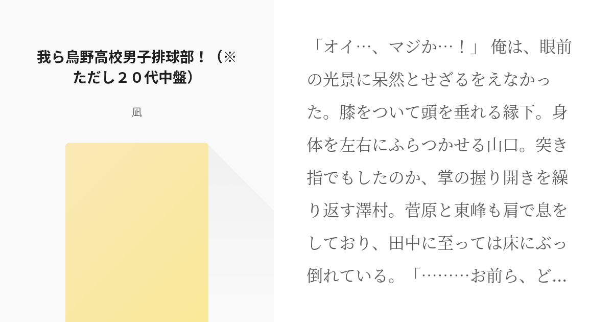 ハイキュー 烏野高校 我ら烏野高校男子排球部 ただし２０代中盤 凪の小説 Pixiv