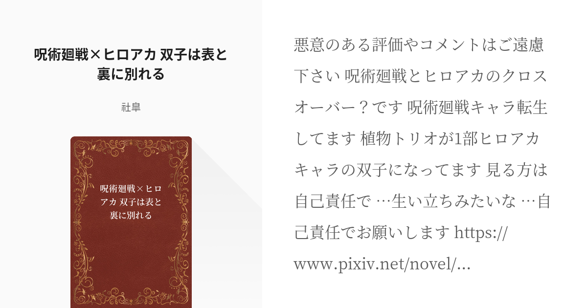 1 呪術廻戦 ヒロアカ 双子は表と裏に別れる 双子は表と裏に別れる 紫苑の小説シリーズ Pixiv