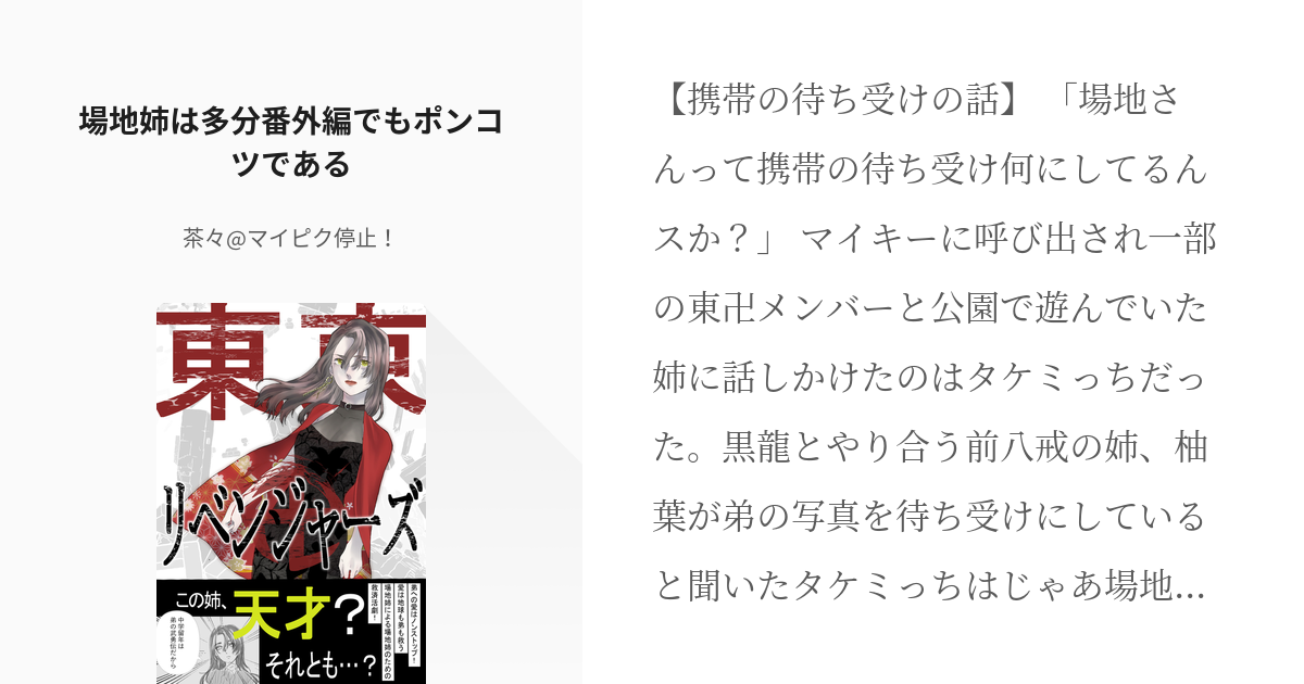 3 場地姉は多分番外編でもポンコツである 場地姉シリーズ番外編 茶々の小説シリーズ Pixiv
