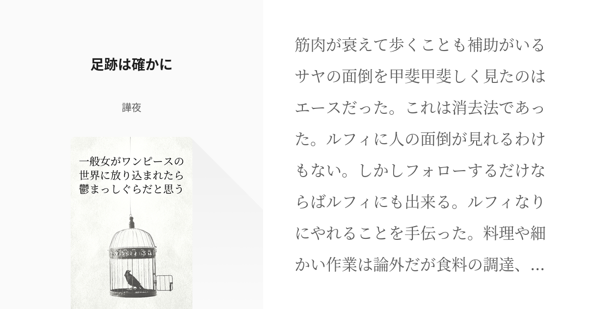 18 足跡は確かに 一般女がワンピースの世界に放り込まれたら鬱まっしぐらだと思う 譁夜の小説シ Pixiv