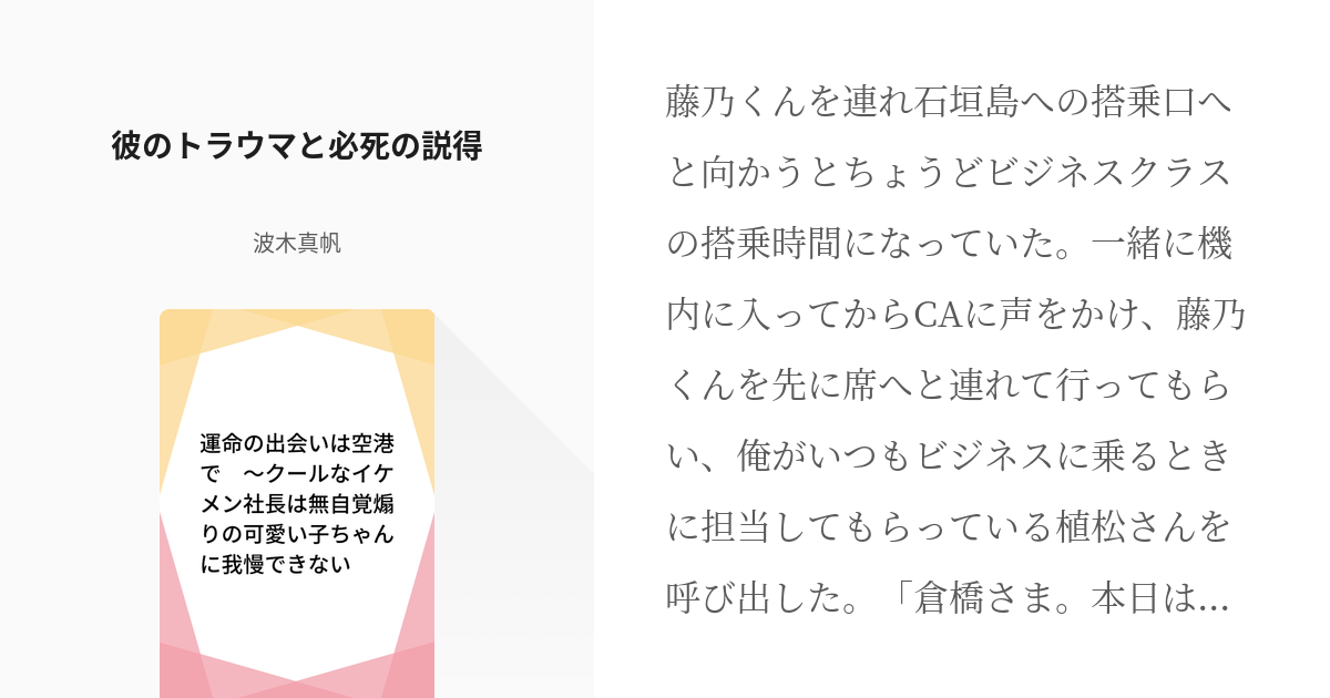 3 彼のトラウマと必死の説得 | 運命の出会いは空港で 〜クールな