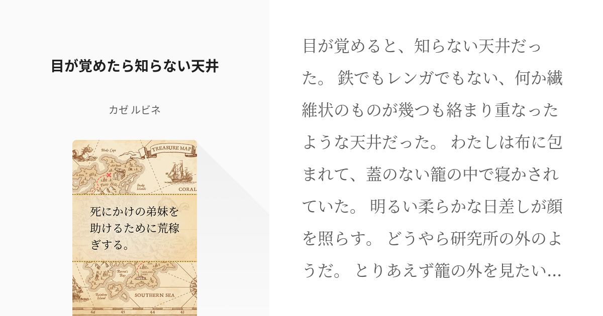 4 目が覚めたら知らない天井 | 死にかけの弟妹を助けるために荒稼ぎする。 - カゼ ルビネの小説シリ - pixiv