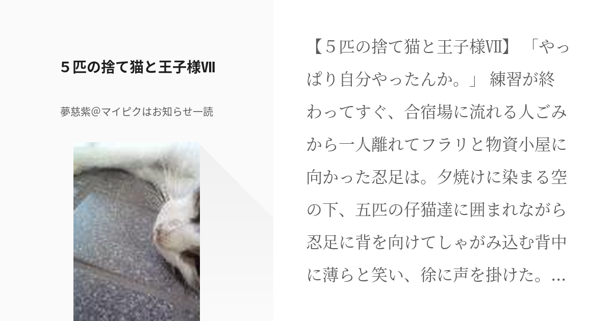 7 ５匹の捨て猫と王子様 ５匹の捨て猫と王子様 夢慈紫 マイピクはお知らせ一読の小説シリーズ Pixiv