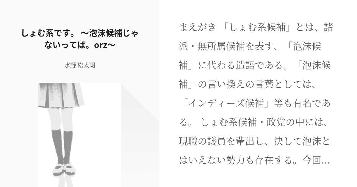 ミライショウセツ 市民オンブズマン しょむ系です 泡沫候補じゃないってば Orz 水野 松 Pixiv