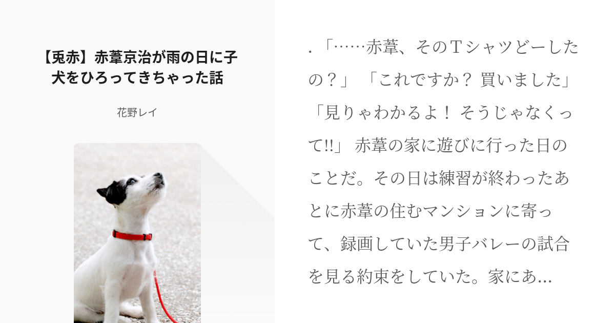 ハイキュー 兎赤 兎赤 赤葦京治が雨の日に子犬をひろってきちゃった話 花野レイの小説 Pixiv