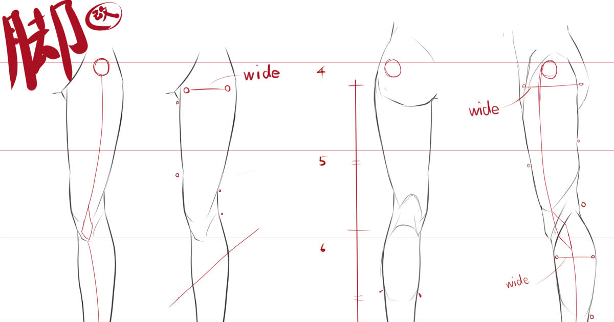 脚の描き方基本講座 - 付け根や膝、筋肉をバランスよく描く
