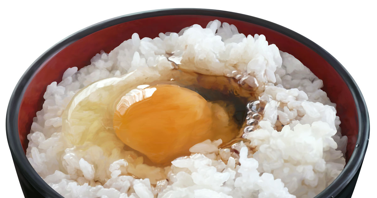 Realistic Japanese meals!