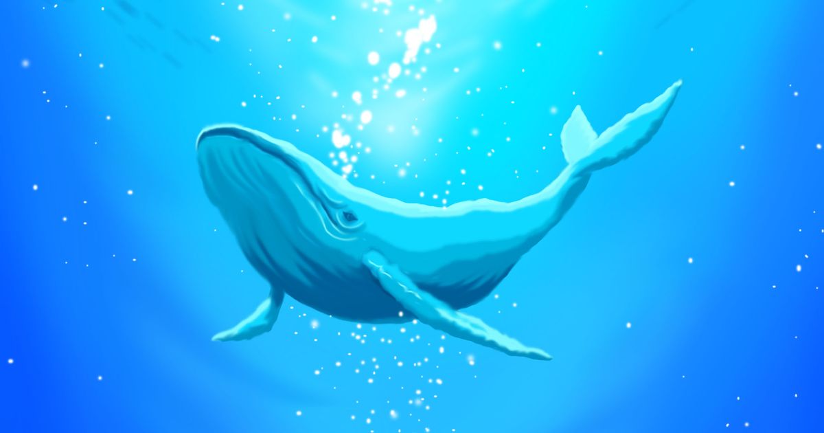 海のなかの大きな神秘。クジラが泳ぐイラスト特集