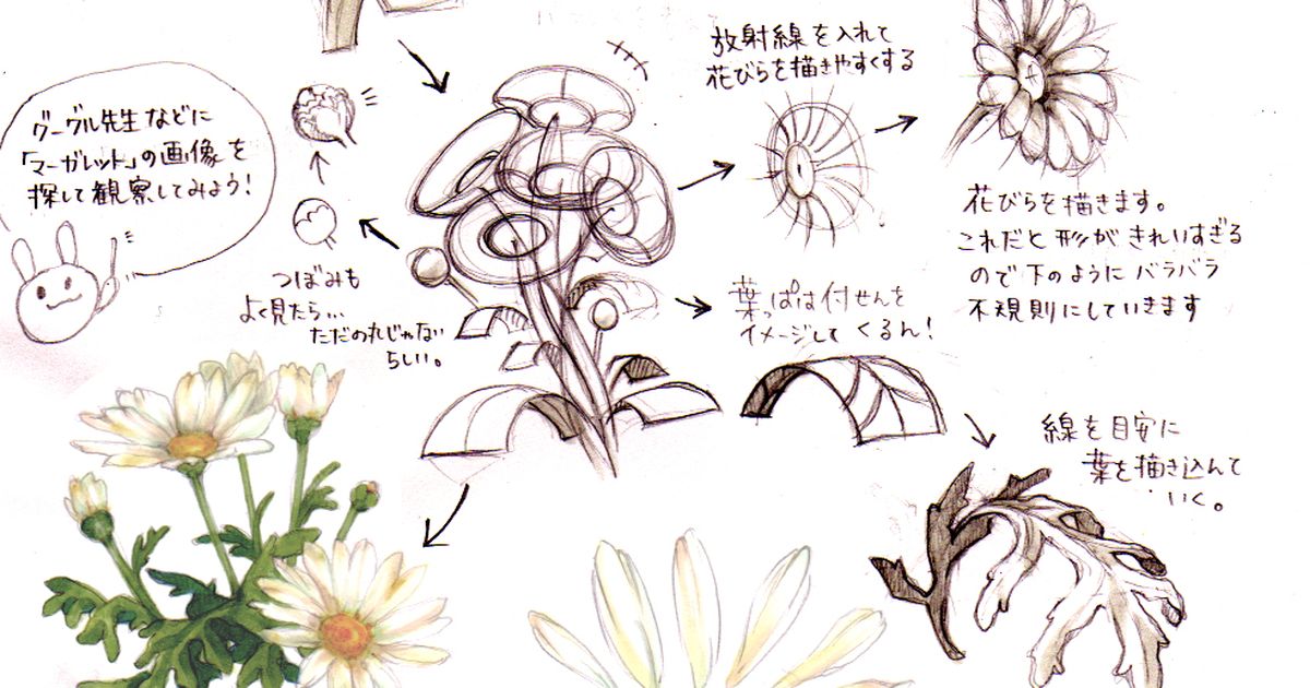 How to Draw Flowers (Big Flowers/Flower Crowns) - Too Beautiful for Words