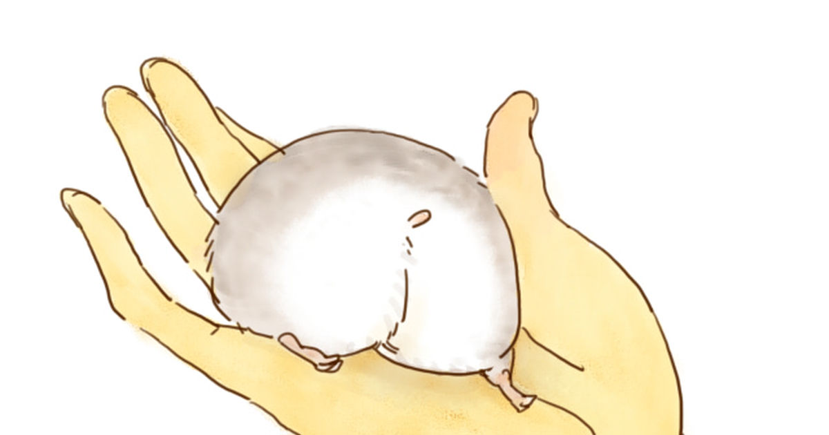 Adorable hamster butts!