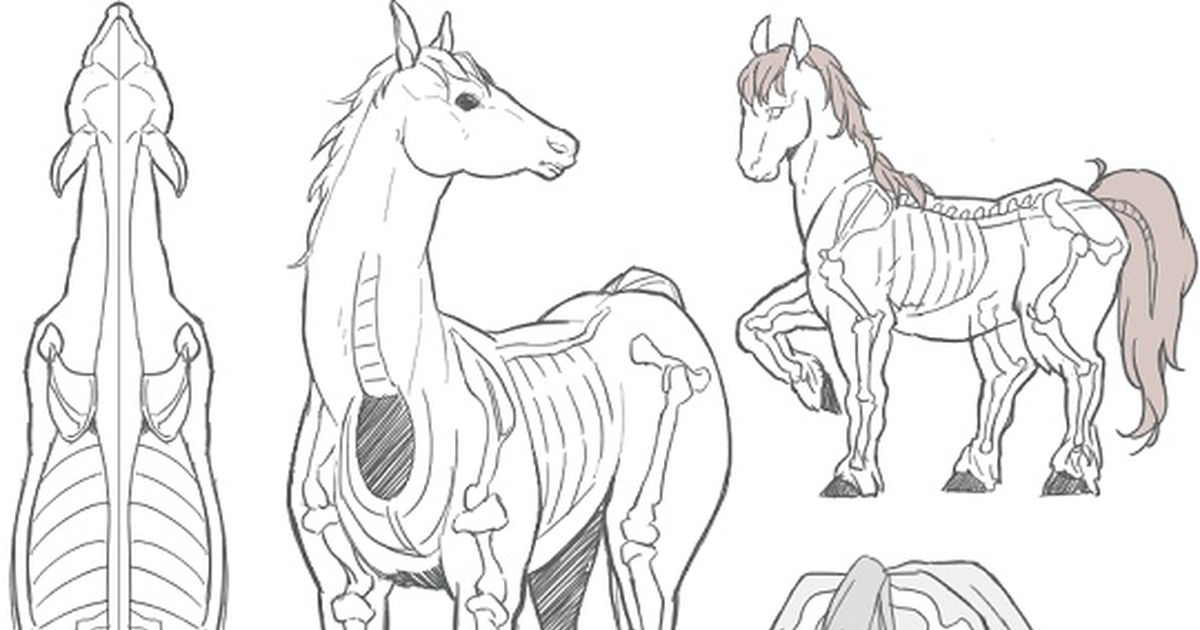 骨格、ポージング、装飾も！「馬」の描き方講座 10選