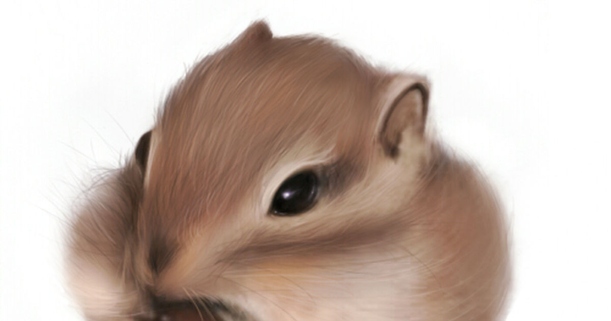 Round Eyes, Fluffy Tail: Squirrels!