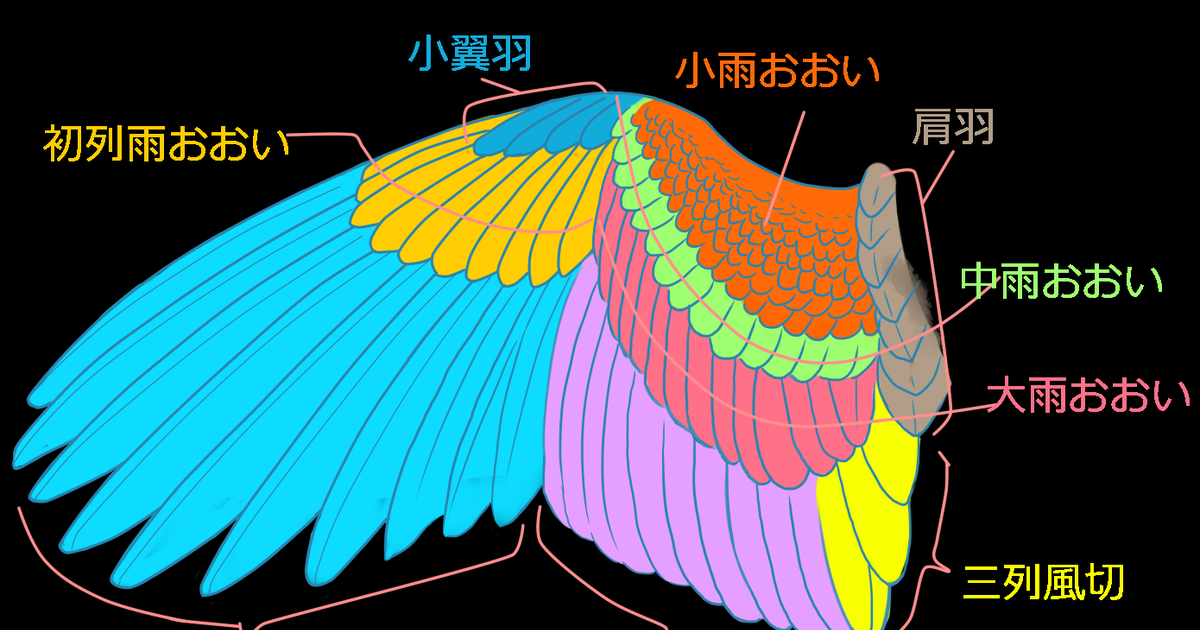 讲座】精选10种翅膀画法【翅膀的结构、羽毛画法】